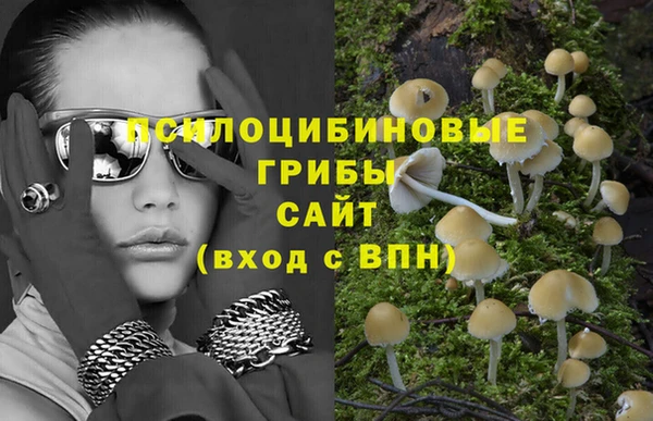 ECSTASY Балахна