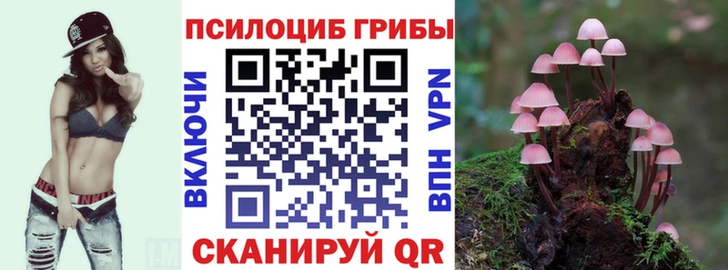 Псилоцибиновые грибы прущие грибы  Знаменск 